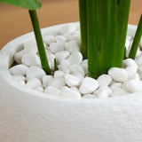 4’ Traveler's Artificial Palm Tree in Oval Planter
