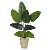 4’ Traveler's Palm Artificial Tree in Country White Planter