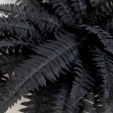 40" Artificial Halloween Black Boston Fern - Set of 2