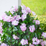 41" UV Resistant Artificial Hydrangea Hanging Plant (Indoor/Outdoor) - Set of 2