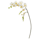 43” Phalaenopsis Orchid Artificial Flower (Set of 6)