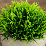 4.5" Artificial Grass Plant in Cement Planter - Set of 2