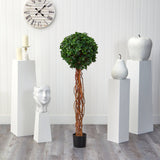 4.5’ English Ivy Single Ball Artificial Topiary Tree with Natural Trunk UV Resistant (Indoor/Outdoor)