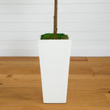4.5’ Fiddle Leaf Fig Tree in White Planter (Real Touch)