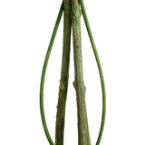 4.5-ft UV Resistant Artificial Ficus Tree (Indoor/Outdoor)