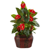 45” Mixed Anthurium and Bromeliad in Planter