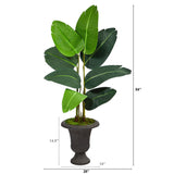 4.5’ Traveler's Palm Artificial Tree in Charcoal Urn