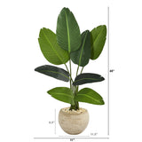 45” Traveler's Palm Artificial Tree in Sand-Colored Planter