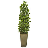 47” Variegated Holly Leaf Artificial Tree in Green Planter (Real Touch)