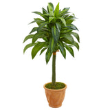 49” Dracaena Artificial Plant in Terra Cotta Planter