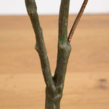 4ft. Autumn Sumac Artificial Fall Tree