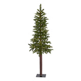 5’ Alaskan Alpine Artificial Christmas Tree with 100 Clear Microdot (Multifunction) LED Lights and 92 Bendable Branches
