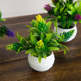 5” Artificial Mini Flowering Plant in White Decorative Oval Planter - Set of 4