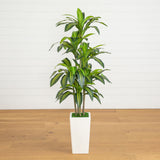 5' Artificial Real Touch Dracaena in Decorative Planter