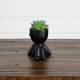 5" Artificial Succulent Plants in Plyaful Decorative Black Planters - Set of 3