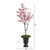 5’ Cherry Blossom Tree in Charcoal Urn