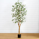 5' Dogwood Silk Tree
