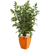 5’ Fishtail Artificial Palm Tree in Orange Planter