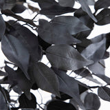 5' Artificial Halloween Black Ficus Tree with Natural Trunk