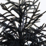 5' Artificial Halloween Real Touch Black Norfolk Pine Christmas Tree with Natural Look