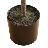 5' Artificial Real Touch Down Swept Norfolk Pine Tree with Natural Look