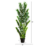 5' Artificial Zamioculcas Plant