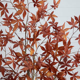 5' Autumn Japanese Maple Artificial Fall Tree