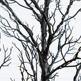 5' Pre-Lit Halloween Minimalist Twig Artificial Fall Tree with 240 Orange & Purple LED Lights