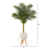 5’ Golden Cane Artificial Palm Tree in White Planter with Stand