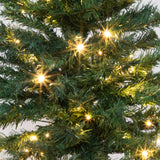5' Northern Tip Pine Artificial Christmas Tree with 150 Clear LED Lights