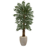 5’ Parlor Artificial Palm Tree in Decorative Planter