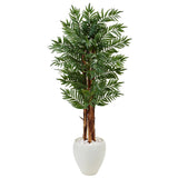 5’ Parlor Palm Tree in White Oval Planter