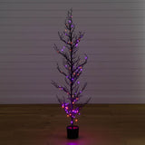 5' Pre-Lit Artificial Halloween Black Spooky Twig Tree with 200 Orange & Purple Copper Wire String LED Lights