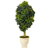 5' Schefflera Artificial Tree in Decorative Urn (Real Touch)
