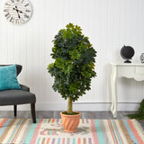 5' Schefflera Artificial Tree in Terra-Cotta Planter (Real Touch)
