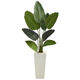 5’ Traveler's Palm Artificial Tree in Tall White Planter
