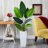 5’ Traveler's Palm Artificial Tree in Tall White Planter