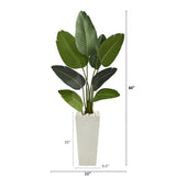 5’ Traveler's Palm Artificial Tree in Tall White Planter