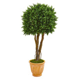 50” Boxwood Artificial Topiary Tree in Terra-Cotta Planter (Indoor/Outdoor)