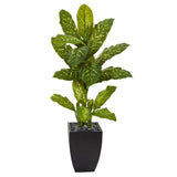 50” Dieffenbachia Artificial Plant in Black Planter (Real Touch)