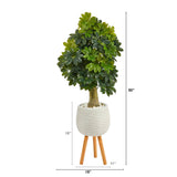 50” Schefflera Artificial Tree in White Planter with Stand (Real Touch)
