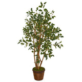 51” Ficus Artificial Tree in Coiled Rope Planter