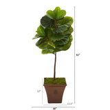 51” Fiddle Leaf Artificial Tree in Brown Planter (Real Touch)
