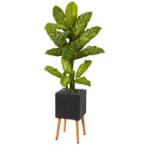 52” Dieffenbachia Artificial Plant in Black Planter with Stand (Real Touch)