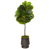 52” Fiddle Leaf Artificial Tree in Ribbed Metal Planter (Real Touch)