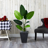 52” Traveler's Palm Artificial Tree in Slate Planter