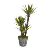52” Yucca Artificial Tree in Embossed Black Planter