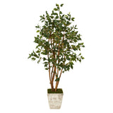 53” Ficus Artificial Tree in Country White Planter