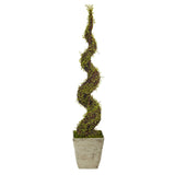 53” Mohlenbechia Spiral Artificial Tree in Country White Planter