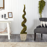 53” Mohlenbechia Spiral Artificial Tree in Country White Planter